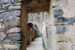 When the stones speak