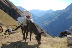 On the way to Choquequirao